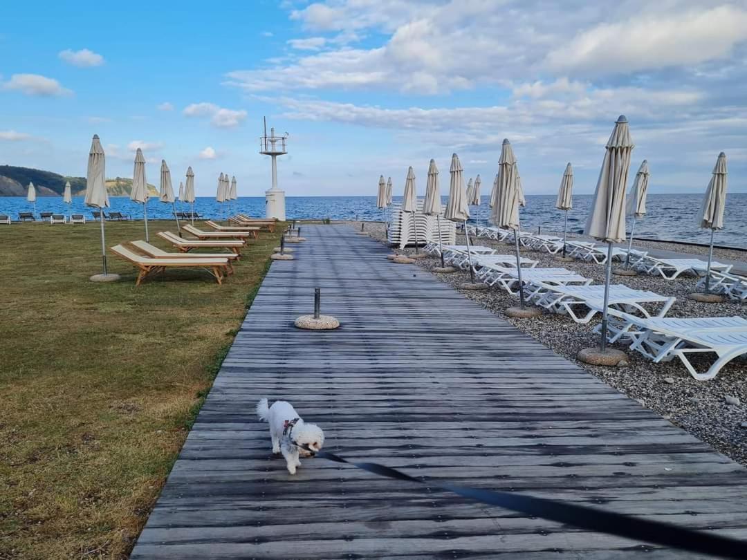 Apartmaji Soncek Izola Extérieur photo